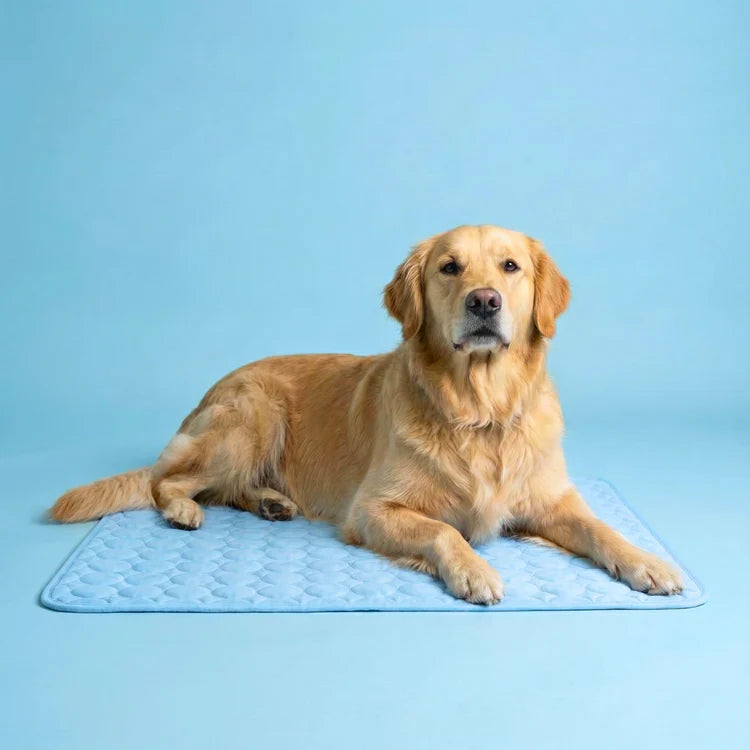 AZORAVERO™ ICYNAP Cooling Dog Mat