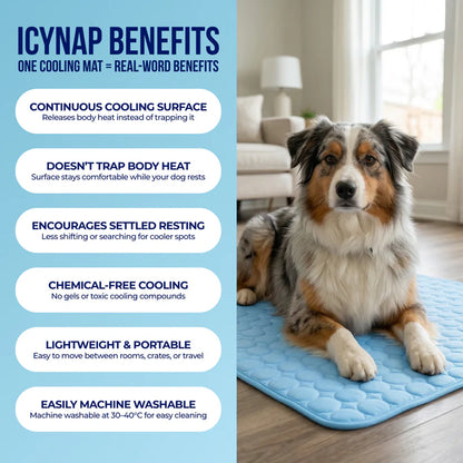 AZORAVERO™ ICYNAP Cooling Dog Mat