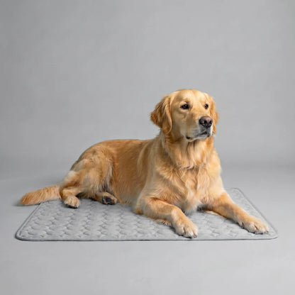 AZORAVERO™ ICYNAP Cooling Dog Mat