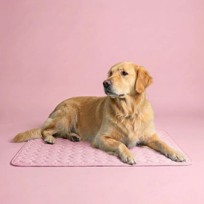 AZORAVERO™ ICYNAP Cooling Dog Mat