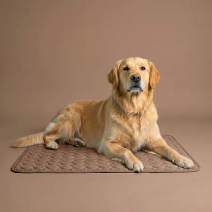 AZORAVERO™ ICYNAP Cooling Dog Mat