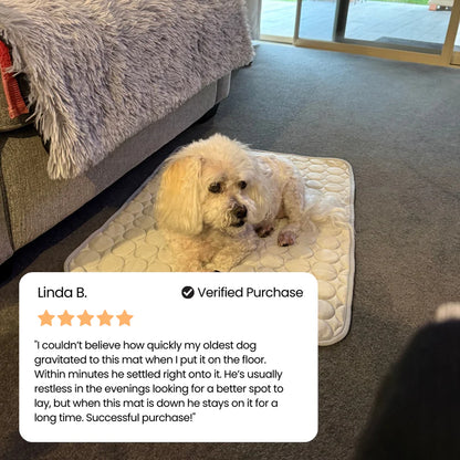AZORAVERO™ ICYNAP Cooling Dog Mat