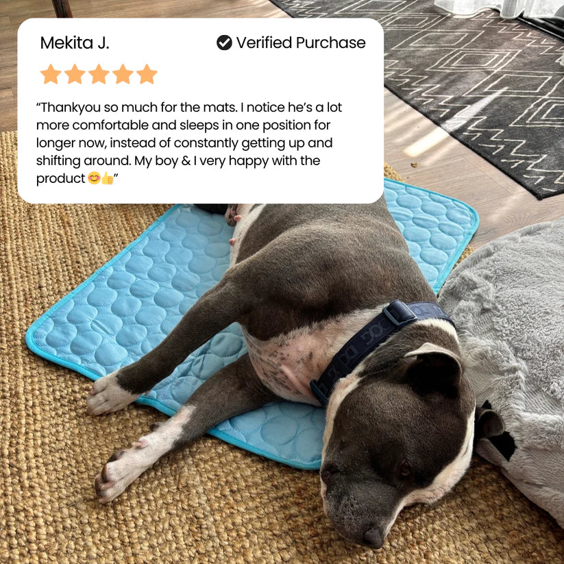 AZORAVERO™ ICYNAP Cooling Dog Mat