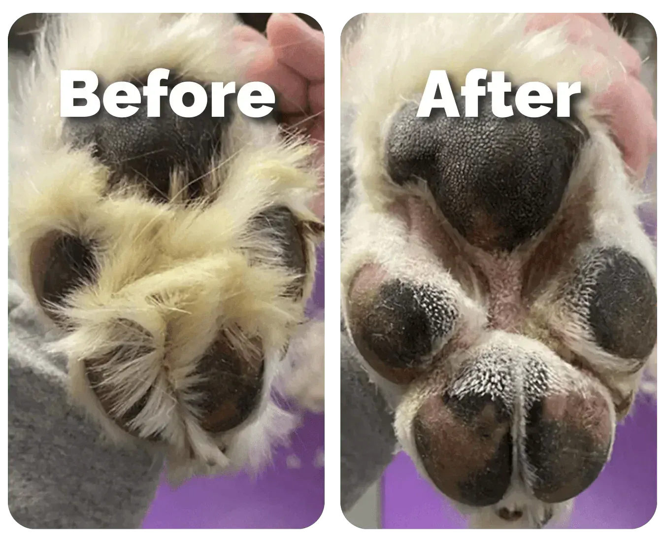 AZORAVERO™ Pet Hair Trimmer