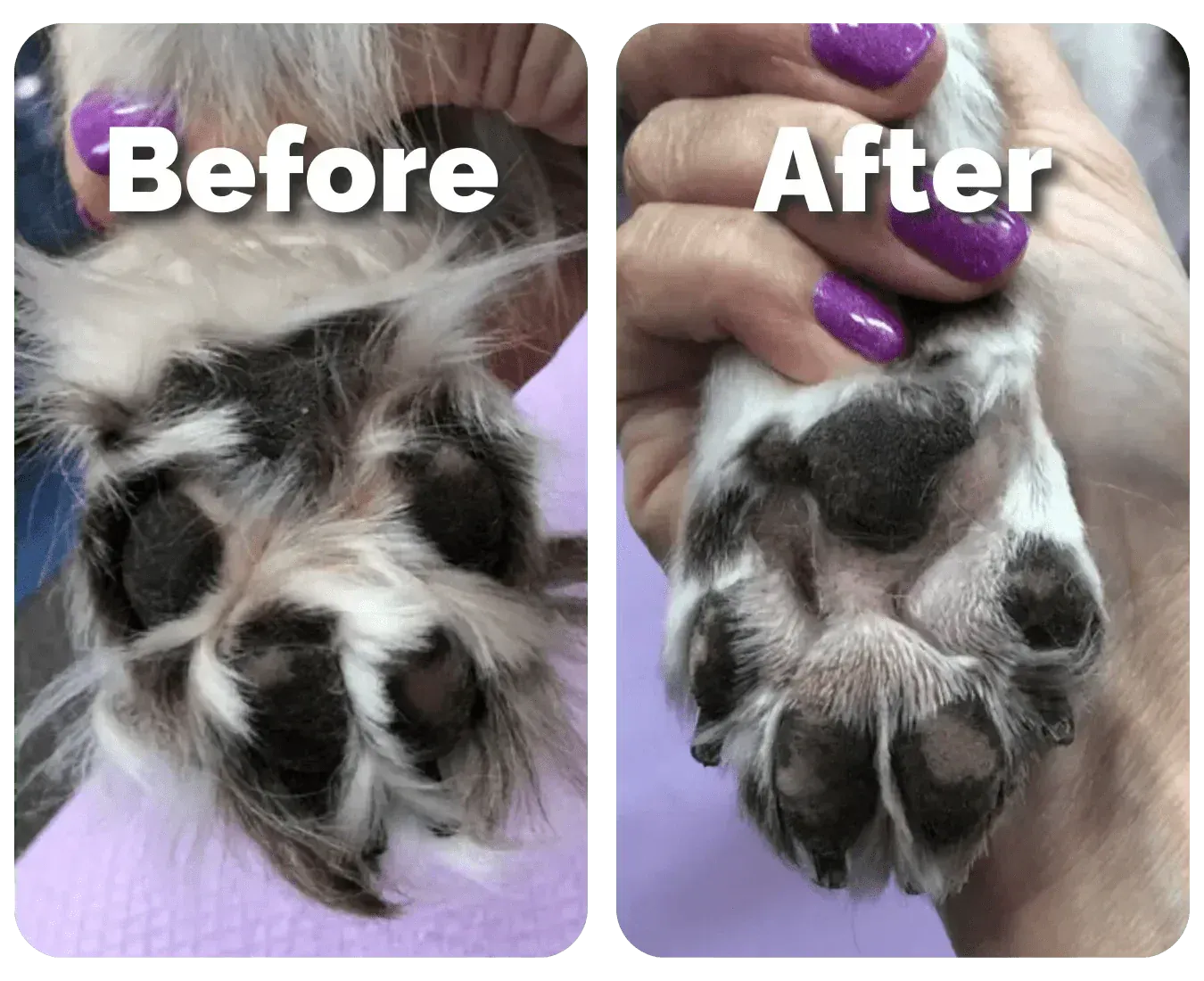 AZORAVERO™ Pet Hair Trimmer